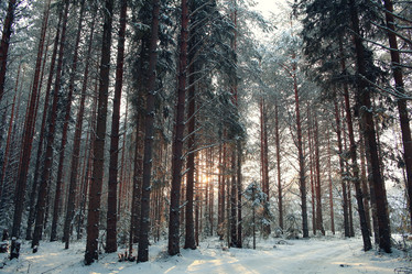 Similar image 10531480