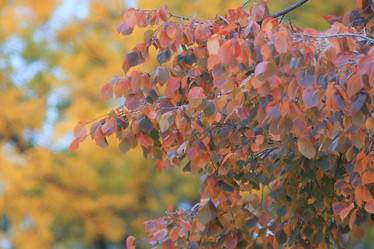 Similar image 10531488