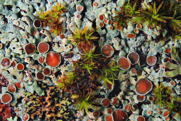 Similar image 10531514