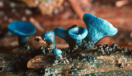 Similar image 10531517