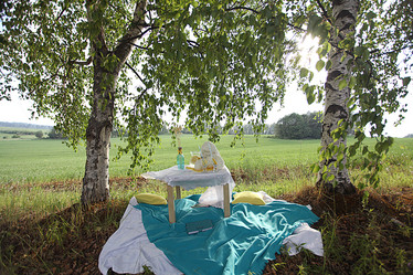 Similar image 10531555