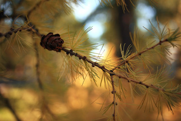 Similar image 10531557