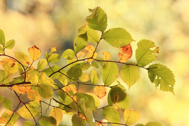 Similar image 10531562