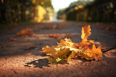 Similar image 10531565