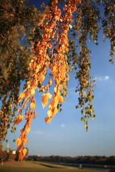 Similar image 10531567