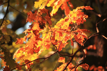 Similar image 10531568