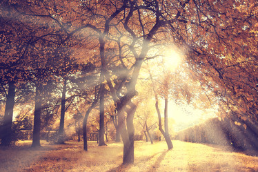 Similar image 10531570