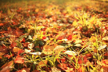 Similar image 10531571