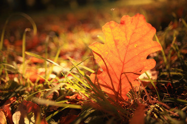 Similar image 10531572