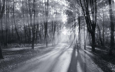 Similar image 10531595