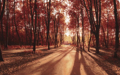 Similar image 10531596