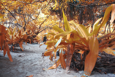 Similar image 10531606