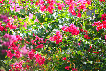 Similar image 10531615