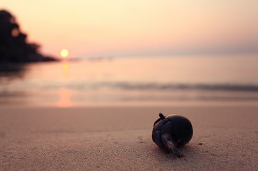 Similar image 10531616