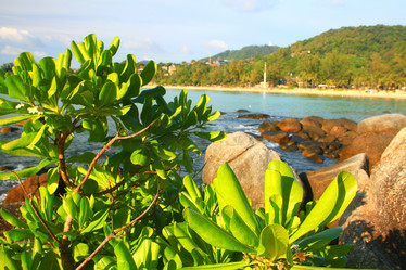 Similar image 10531637