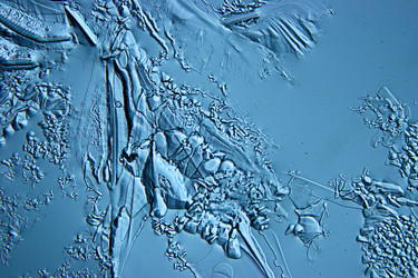 Similar image 10531653