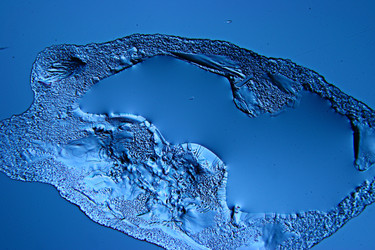 Similar image 10531660