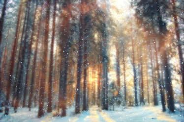 Similar image 10531732