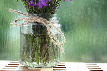 Similar image 10531740