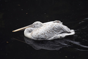 Similar image 10531743