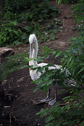 Similar image 10531772