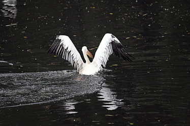 Similar image 10531773