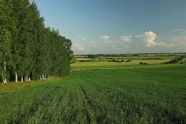 Similar image 10531777