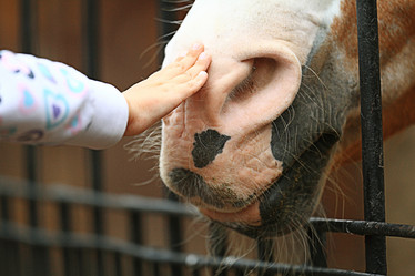 Similar image 10531781