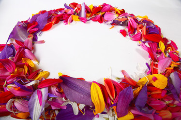 Similar image 10531789