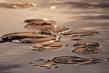 Similar image 10531824