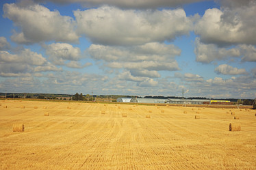 Similar image 10531834