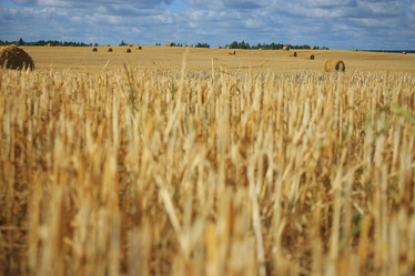 Similar image 10531838