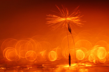 Similar image 10531840