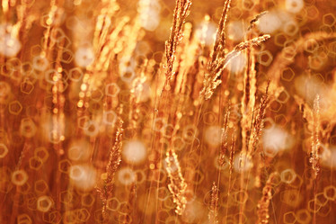 Similar image 10531869