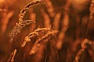 Similar image 10531870