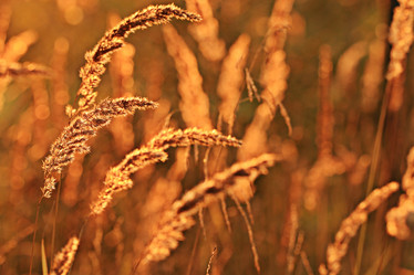 Similar image 10531871