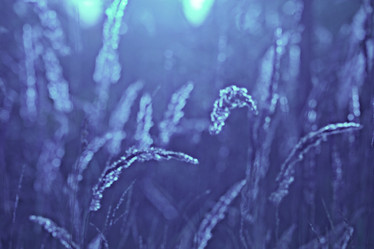 Similar image 10531872