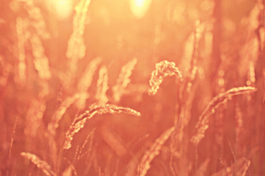 Similar image 10531873