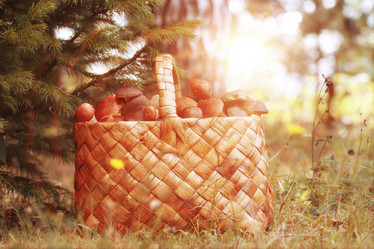 Similar image 10531876