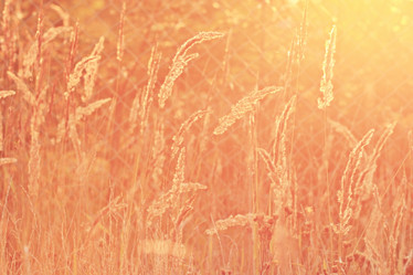 Similar image 10531877