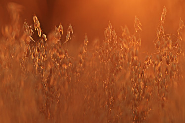 Similar image 10531879