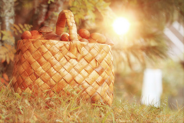 Similar image 10531878