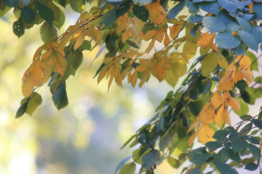 Similar image 10531885