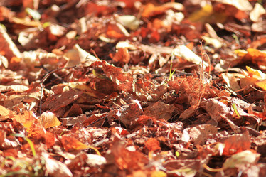 Similar image 10531886