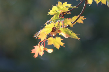 Similar image 10531888