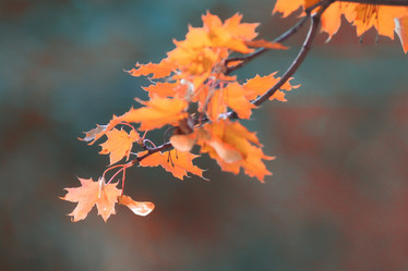 Similar image 10531889