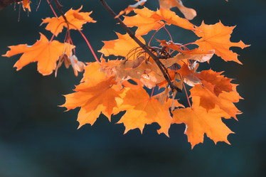 Similar image 10531890