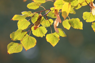 Similar image 10531897