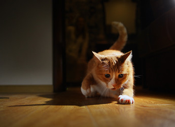 Similar image 10531901