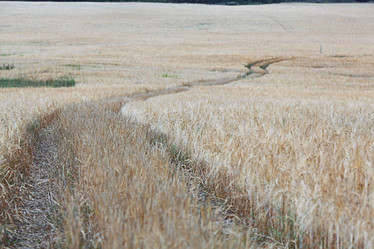 Similar image 10531924